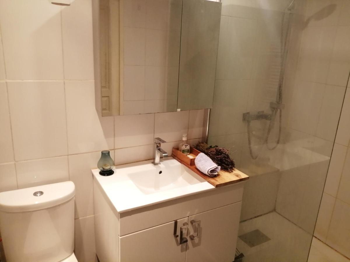 Loft Viarhona, Grand Loft En Centre-Ville Lyon Eksteriør billede