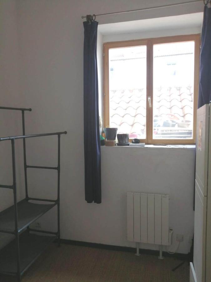 Loft Viarhona, Grand Loft En Centre-Ville Lyon Eksteriør billede