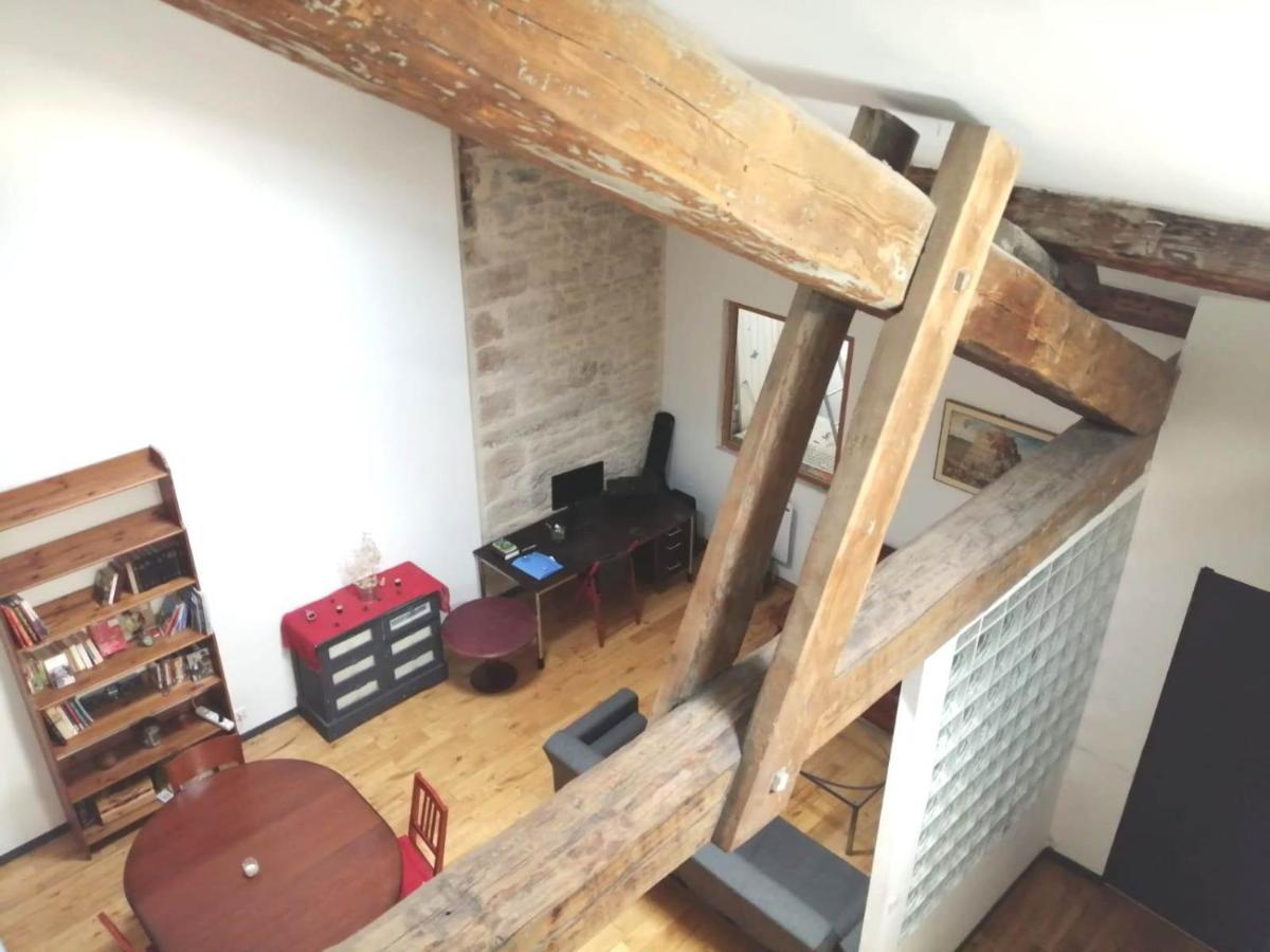 Loft Viarhona, Grand Loft En Centre-Ville Lyon Eksteriør billede