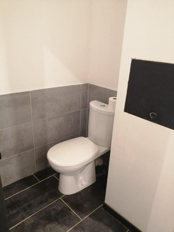 Loft Viarhona, Grand Loft En Centre-Ville Lyon Eksteriør billede