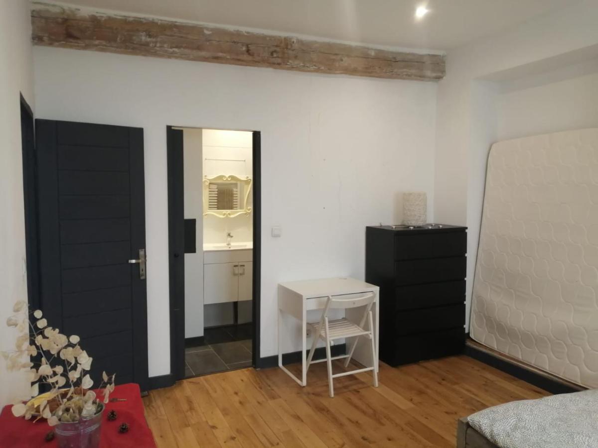 Loft Viarhona, Grand Loft En Centre-Ville Lyon Eksteriør billede