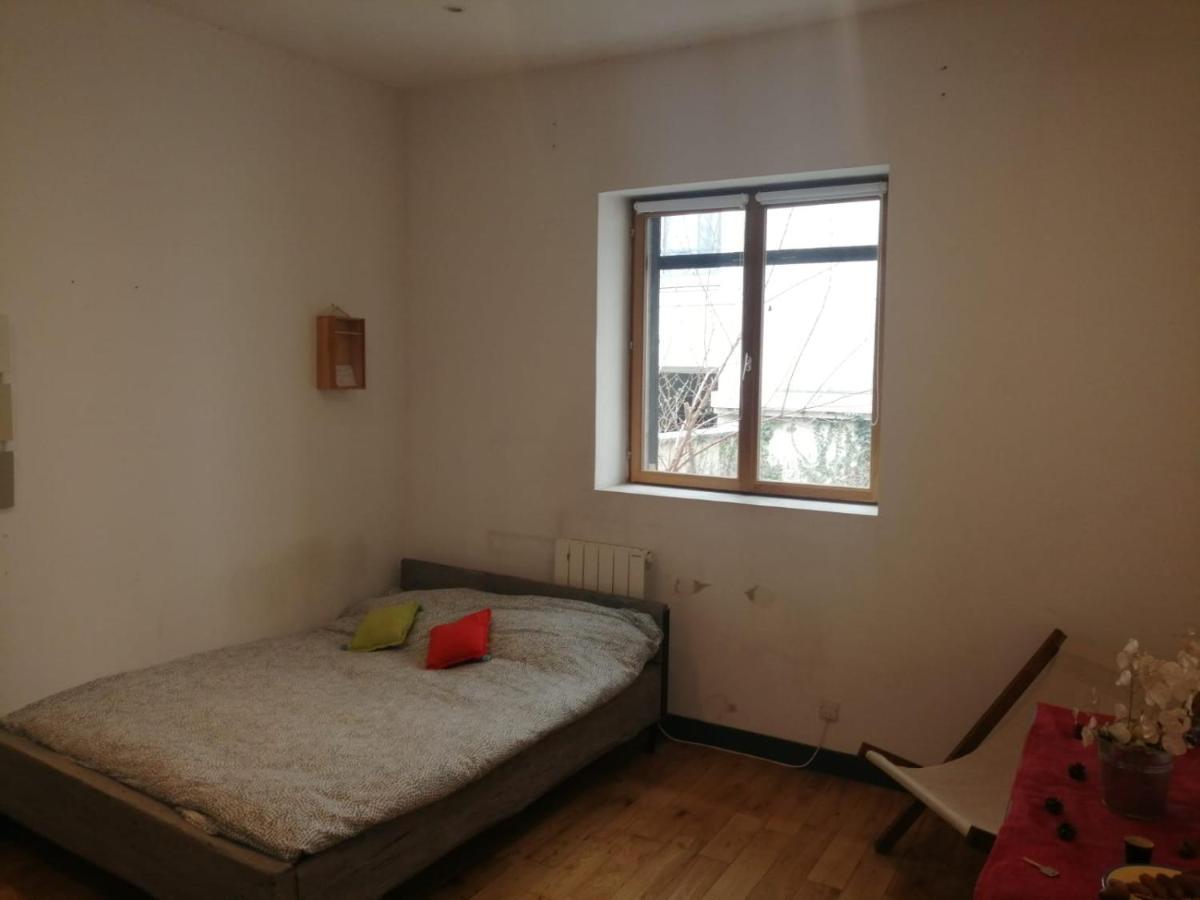 Loft Viarhona, Grand Loft En Centre-Ville Lyon Eksteriør billede